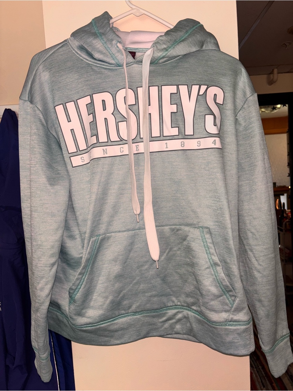 HERSHEY'S Women's Light Teal Logo Hoodie Sweater